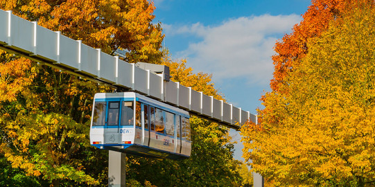 H-Bahn und Bäume mit bunten Blättern im Herbst